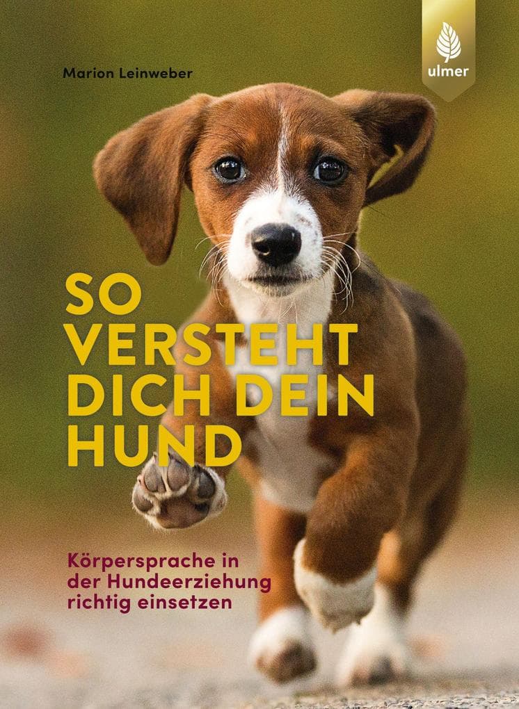 So versteht dich dein Hund