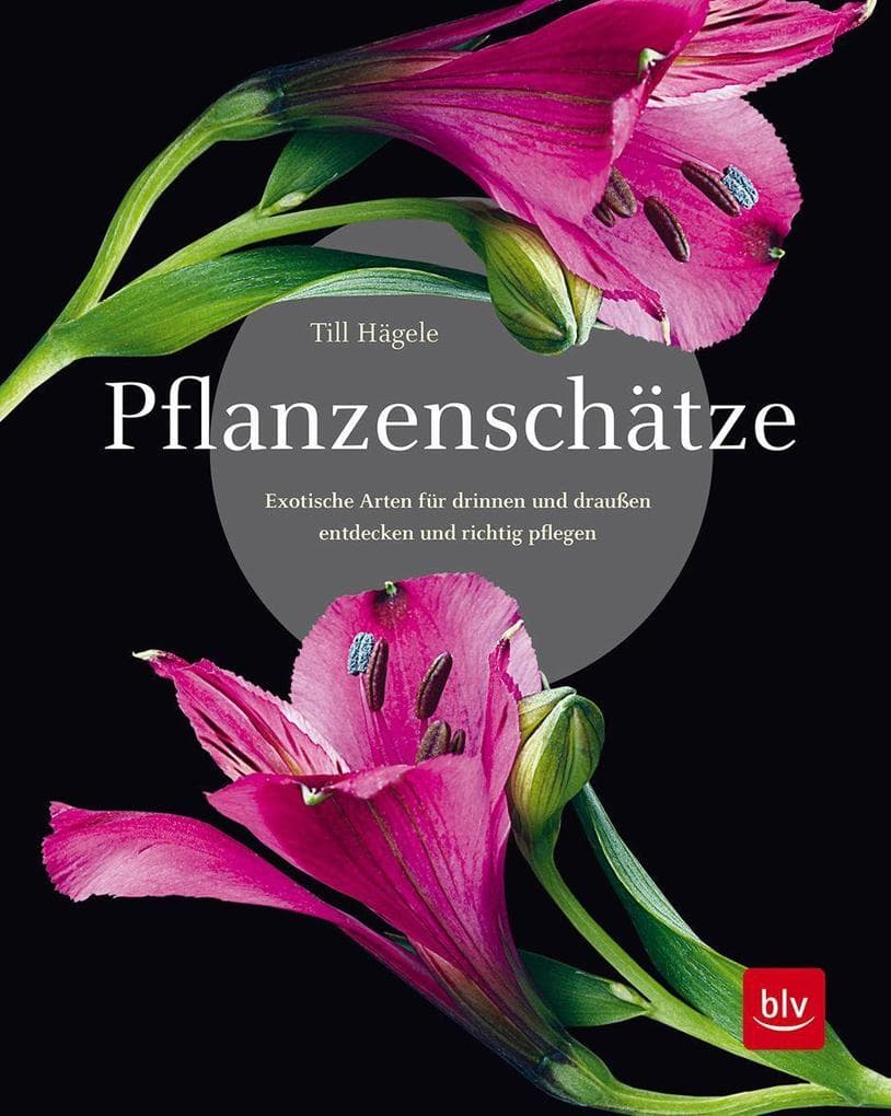 Pflanzenschätze