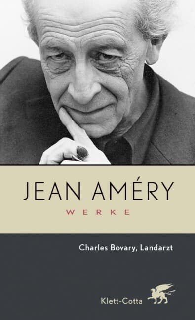 Werke. Bd. 4: Charles Bovary, Landarzt / Aufsätze zu Flaubert und Sartre (Werke, Bd. 4)