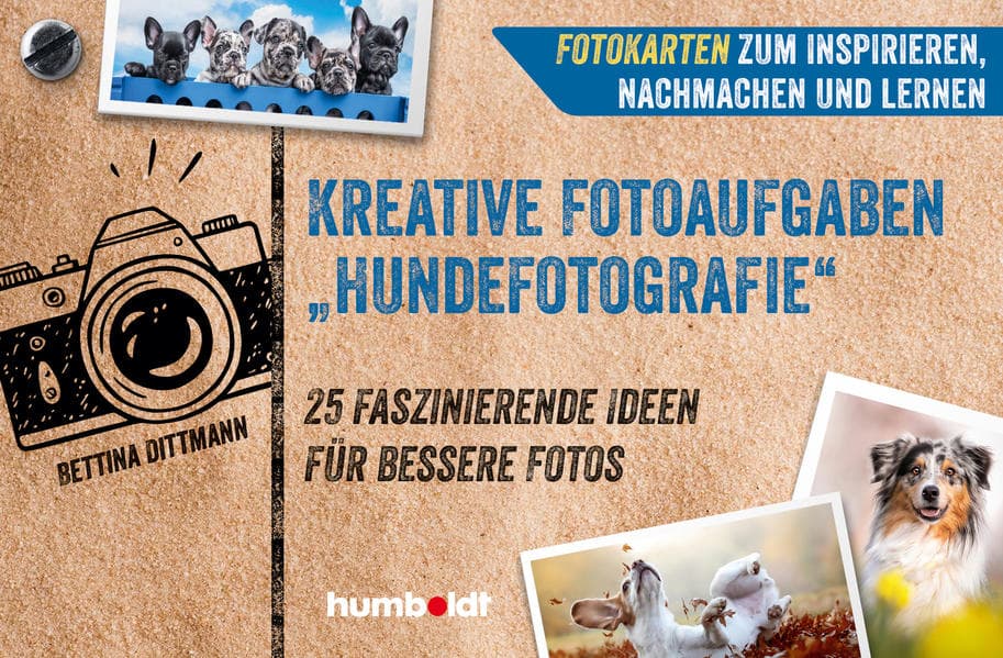 Fotokarten. Kreative Fotoaufgaben "Hundefotografie"