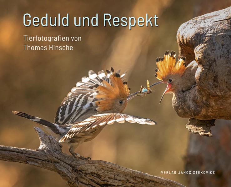 Geduld und Respekt