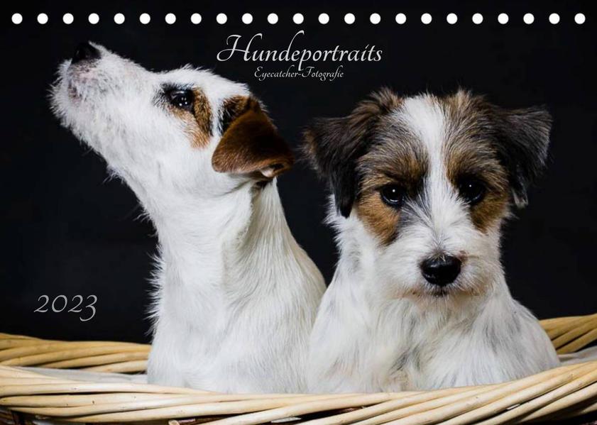 Hundeportraits Eyecatcher-Fotografie (Tischkalender 2023 DIN A5 quer)