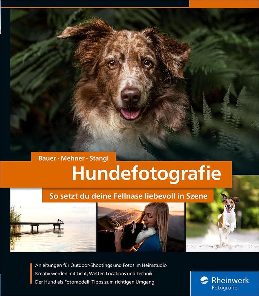 Hundefotografie