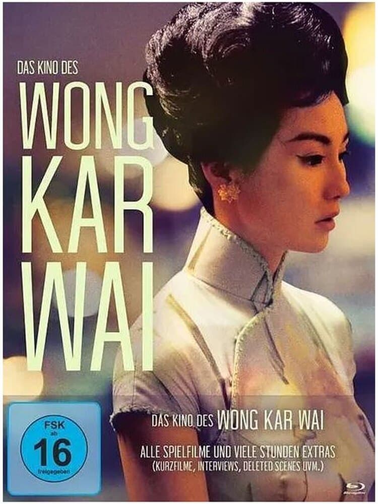 Das Kino des Wong Kar Wai