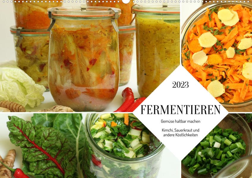 Fermentieren (Wandkalender 2023 DIN A2 quer)