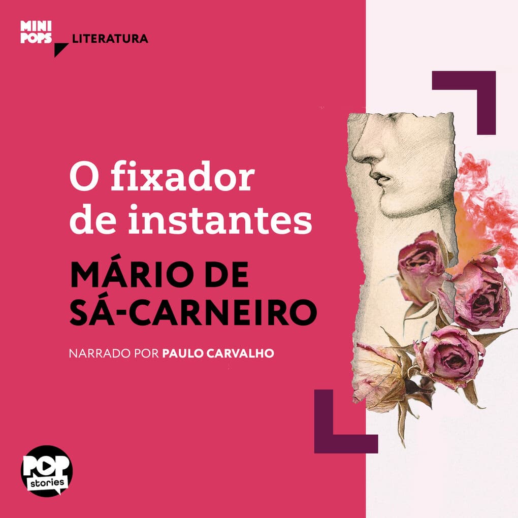 O fixador de instantes