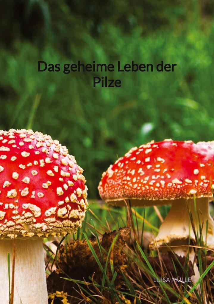 Das geheime Leben der Pilze