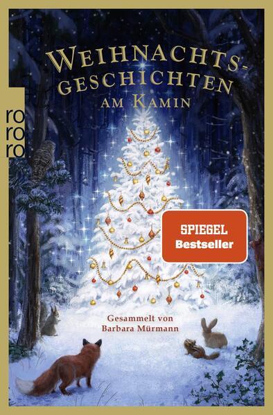 Weihnachtsgeschichten am Kamin 38