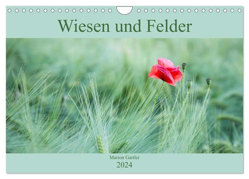 Wiesen und Felder (Wandkalender 2024 DIN A4 quer), CALVENDO Monatskalender