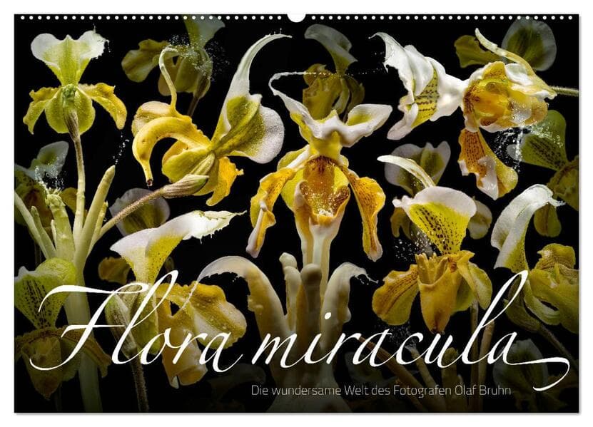 Flora miracula - Die wundersame Welt des Fotografen Olaf Bruhn (Wandkalender 2024 DIN A2 quer), CALV