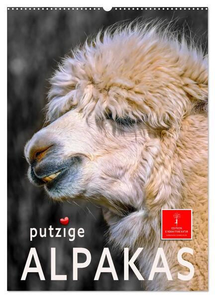 Putzige Alpakas (Wandkalender 2024 DIN A2 hoch), CALVENDO Monatskalender