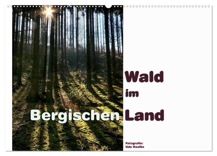 Wald im Bergischen Land 2024 (Wandkalender 2024 DIN A2 quer), CALVENDO Monatskalender