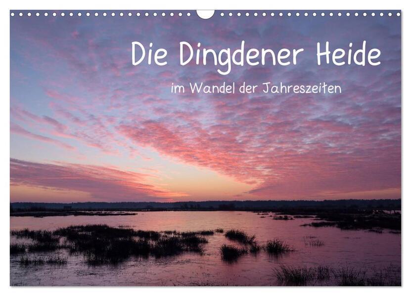 Die Dingdener Heide im Wandel der Jahreszeiten (Wandkalender 2024 DIN A3 quer), CALVENDO Monatskalen