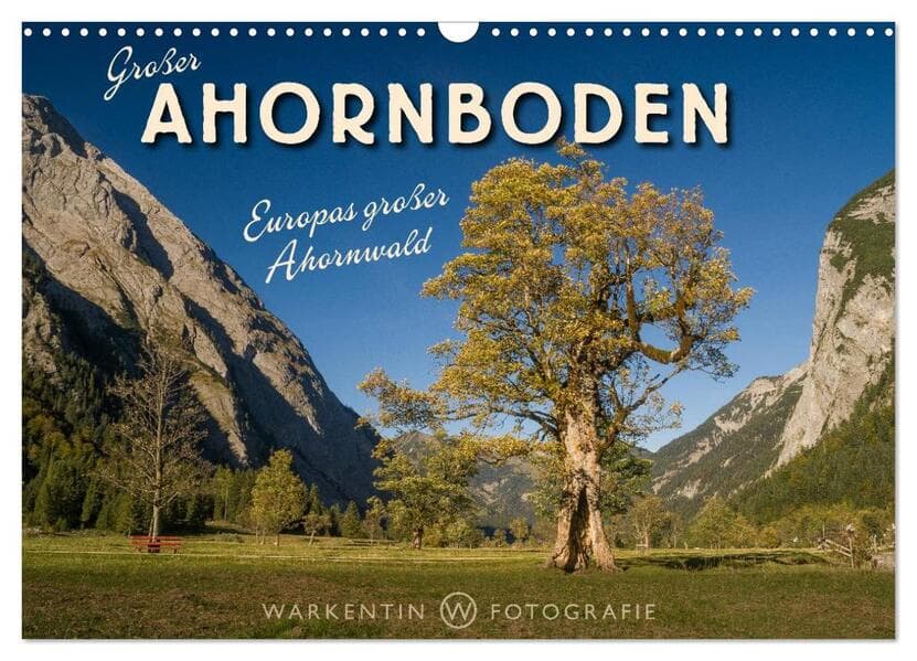 Großer Ahornboden - Europas großer Ahornwald (Wandkalender 2024 DIN A3 quer), CALVENDO Monatskalende