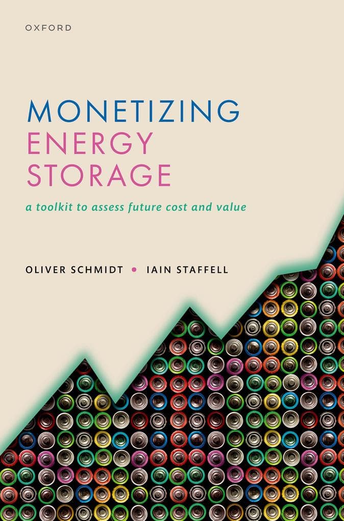 Monetizing Energy Storage