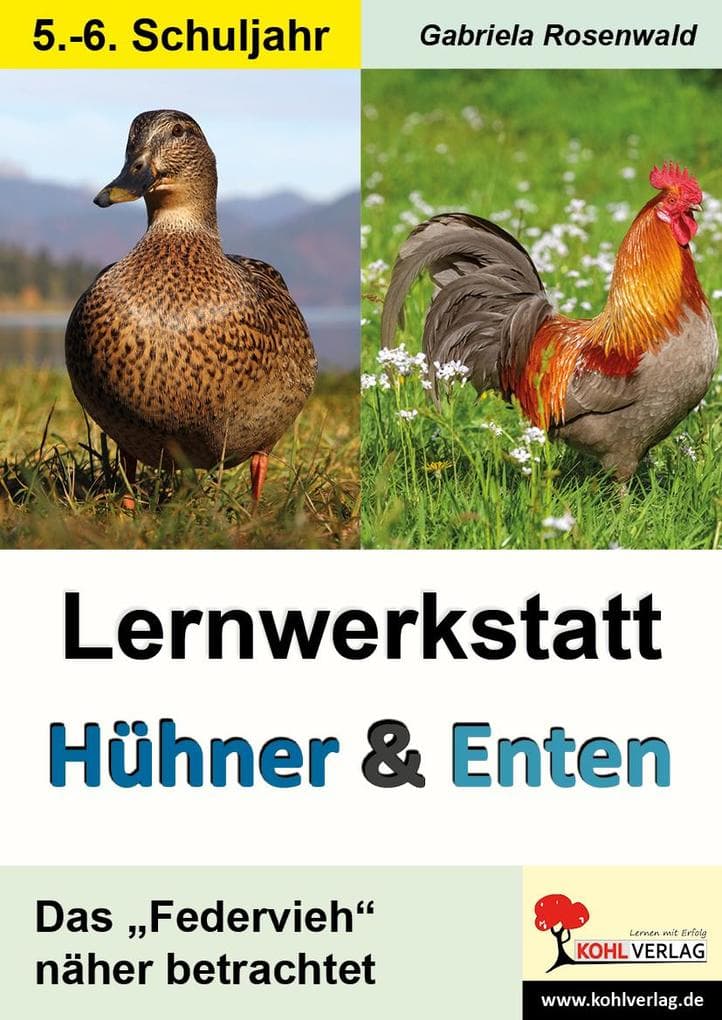 Lernwerkstatt Hühner und Enten / Sekundarstufe