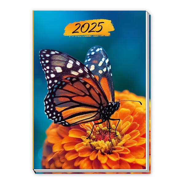 Trötsch Taschenkalender A7 Schmetterling 2025