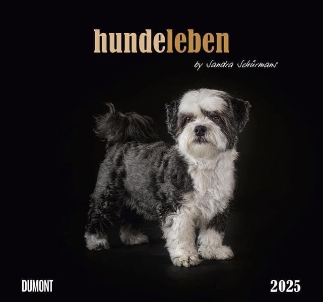 Hundeleben 2025 - DUMONT Wandkalender - mit den wichtigsten Feiertagen - Format 38,0 x 35,5 cm