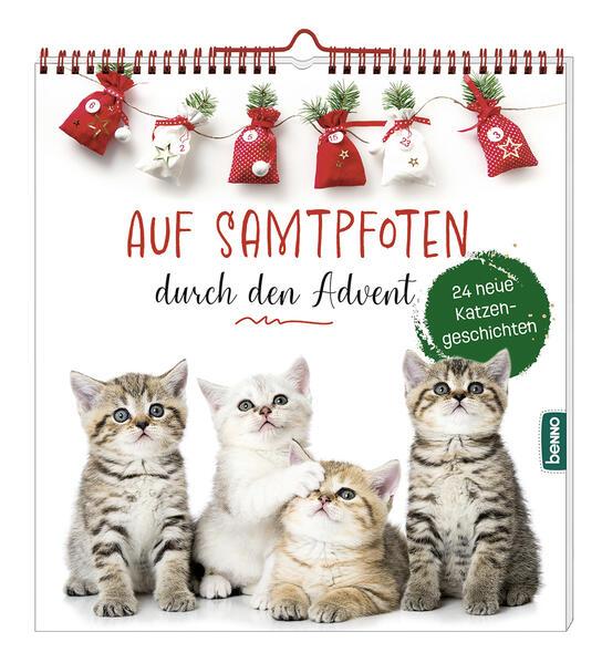 Auf Samtpfoten durch den Advent