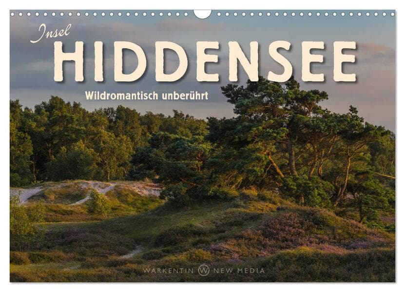 Insel Hiddensee - Wildromantisch unberührt (Wandkalender 2025 DIN A3 quer), CALVENDO Monatskalender