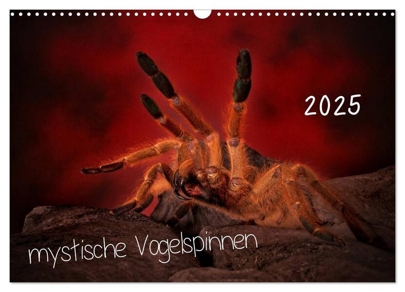 Mystische Vogelspinnen (Wandkalender 2025 DIN A3 quer), CALVENDO Monatskalender