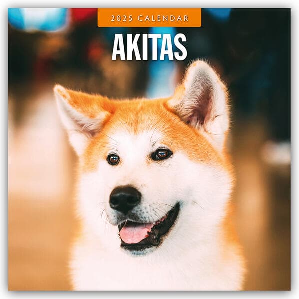 Akitas 2025 Square Wall Calendar