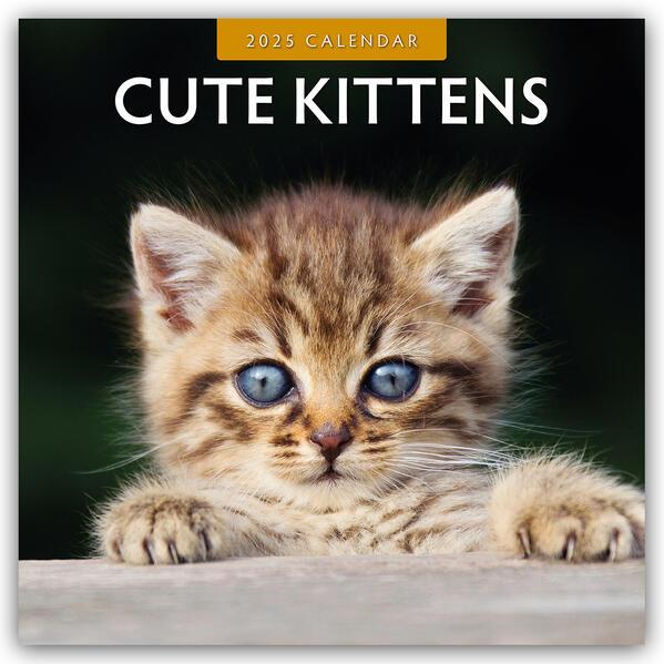 Cute Kittens 2025 Square Wall Calendar