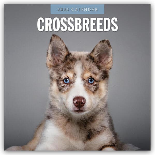 Crossbreeds 2025 Square Wall Calendar