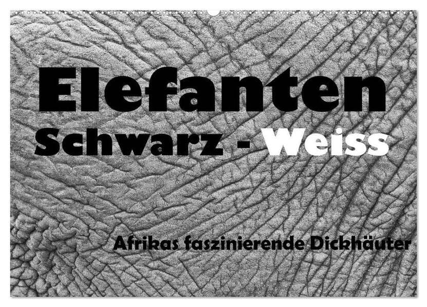 Elefanten Schwarz - Weiss (Wandkalender 2025 DIN A2 quer), CALVENDO Monatskalender