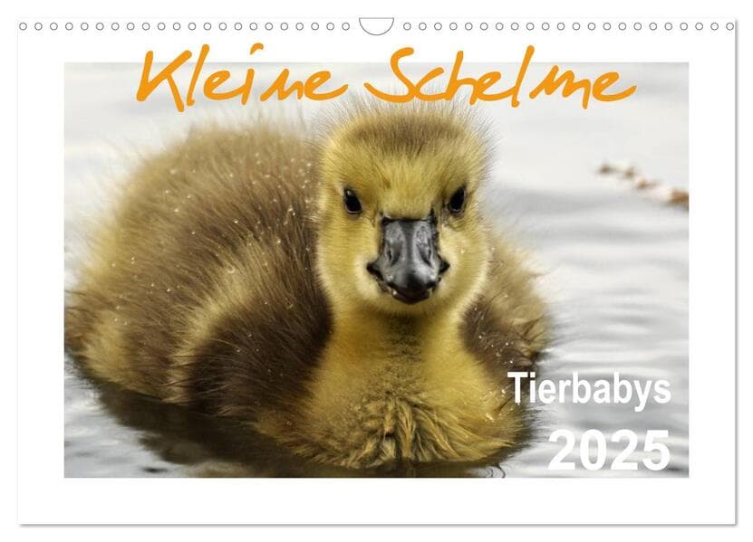 Kleine Schelme - Tierbabys (Wandkalender 2025 DIN A3 quer), CALVENDO Monatskalender