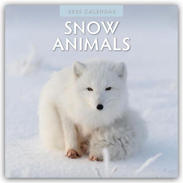 Snow Animals 2025 Square Wall Calendar