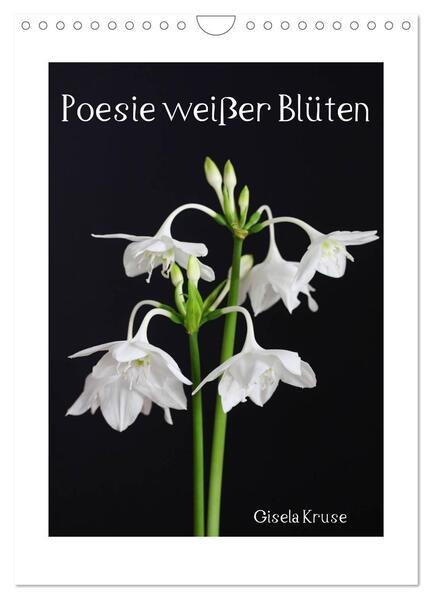 Poesie weißer Blüten (Wandkalender 2025 DIN A4 hoch), CALVENDO Monatskalender