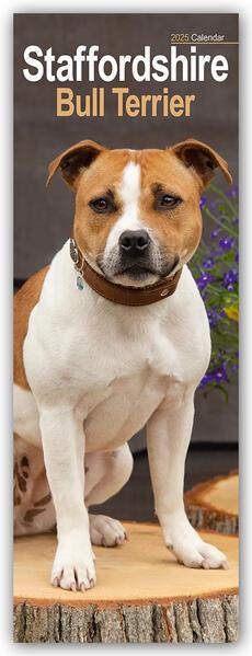 Staffordshire Bullterrier - Staffies 2025