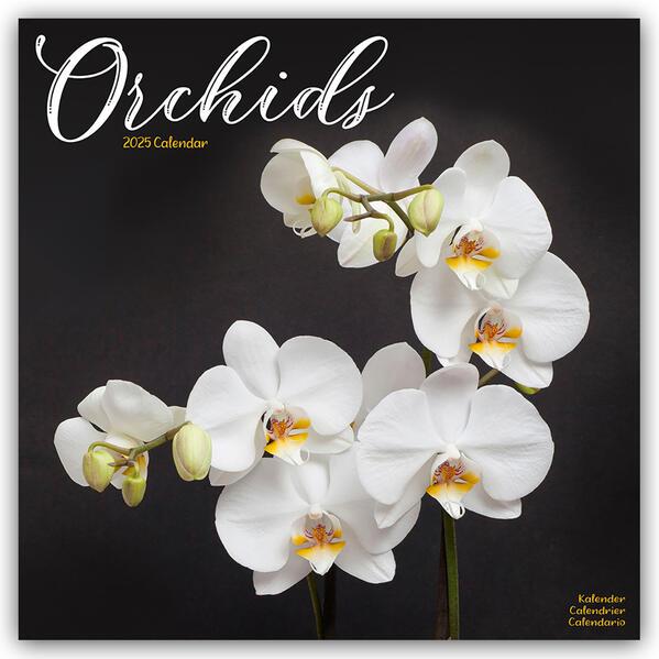 Orchids - Orchideen 2025 - 16-Monatskalender