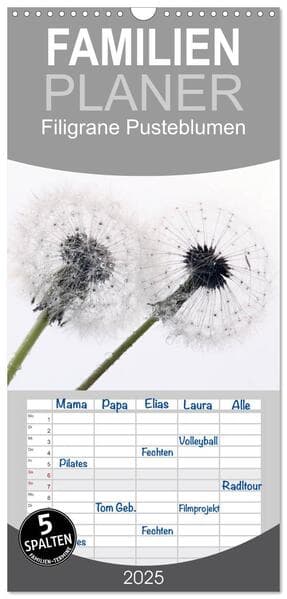 Familienplaner 2025 - Filigrane Pusteblumen / Geburtstagskalender mit 5 Spalten (Wandkalender, 21 x 45 cm) CALVENDO