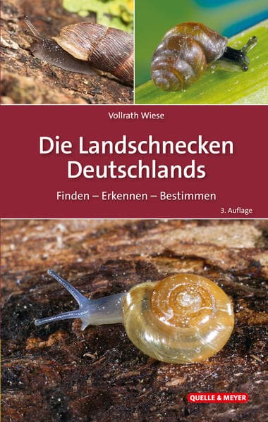 Die Landschnecken Deutschlands