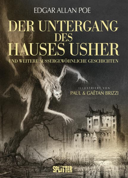 Der Untergang des Hauses Usher (illustrierter Roman)