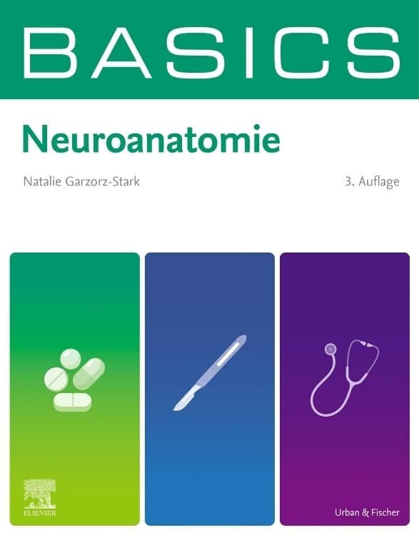 BASICS Neuroanatomie