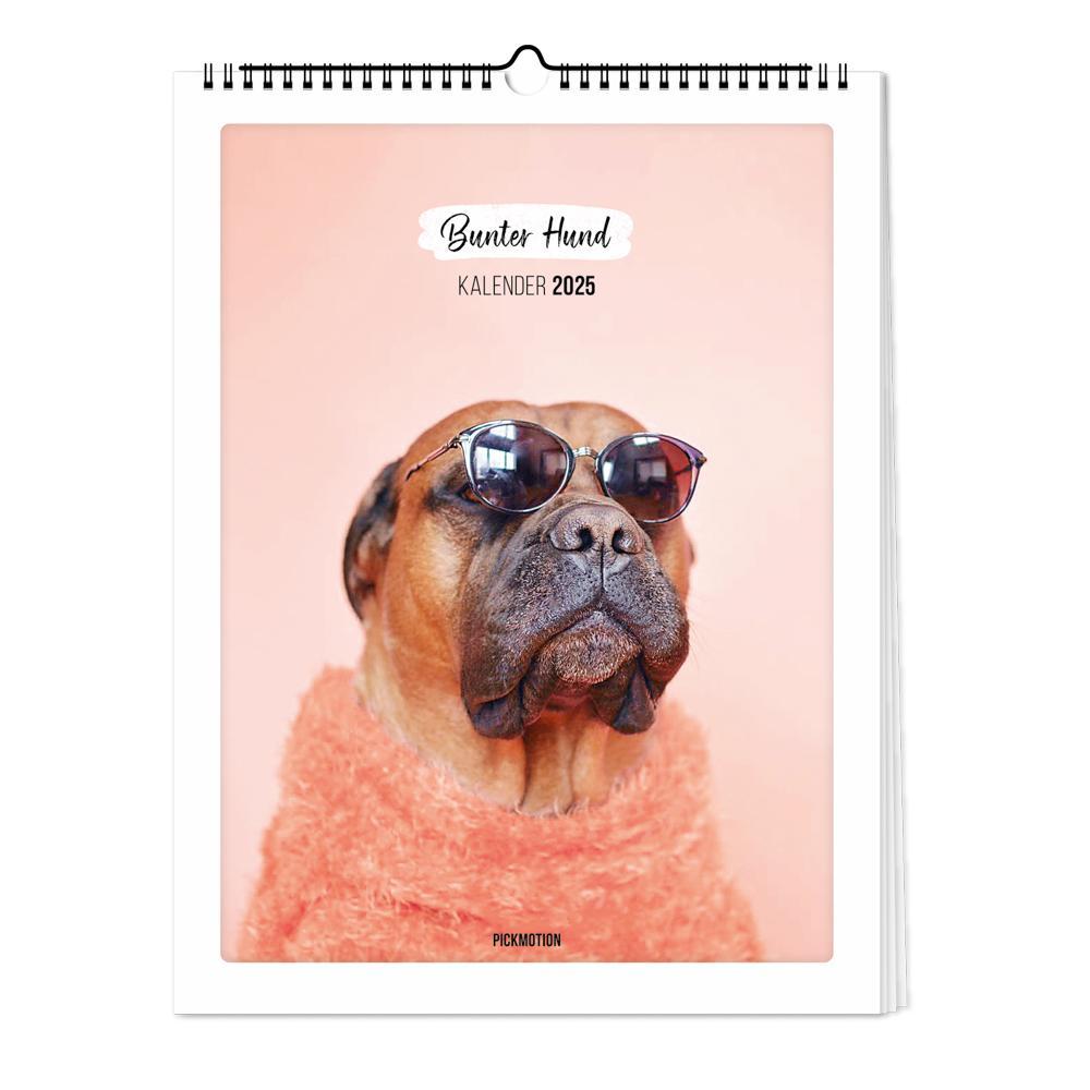 Wandkalender 2025 - Bunter Hund