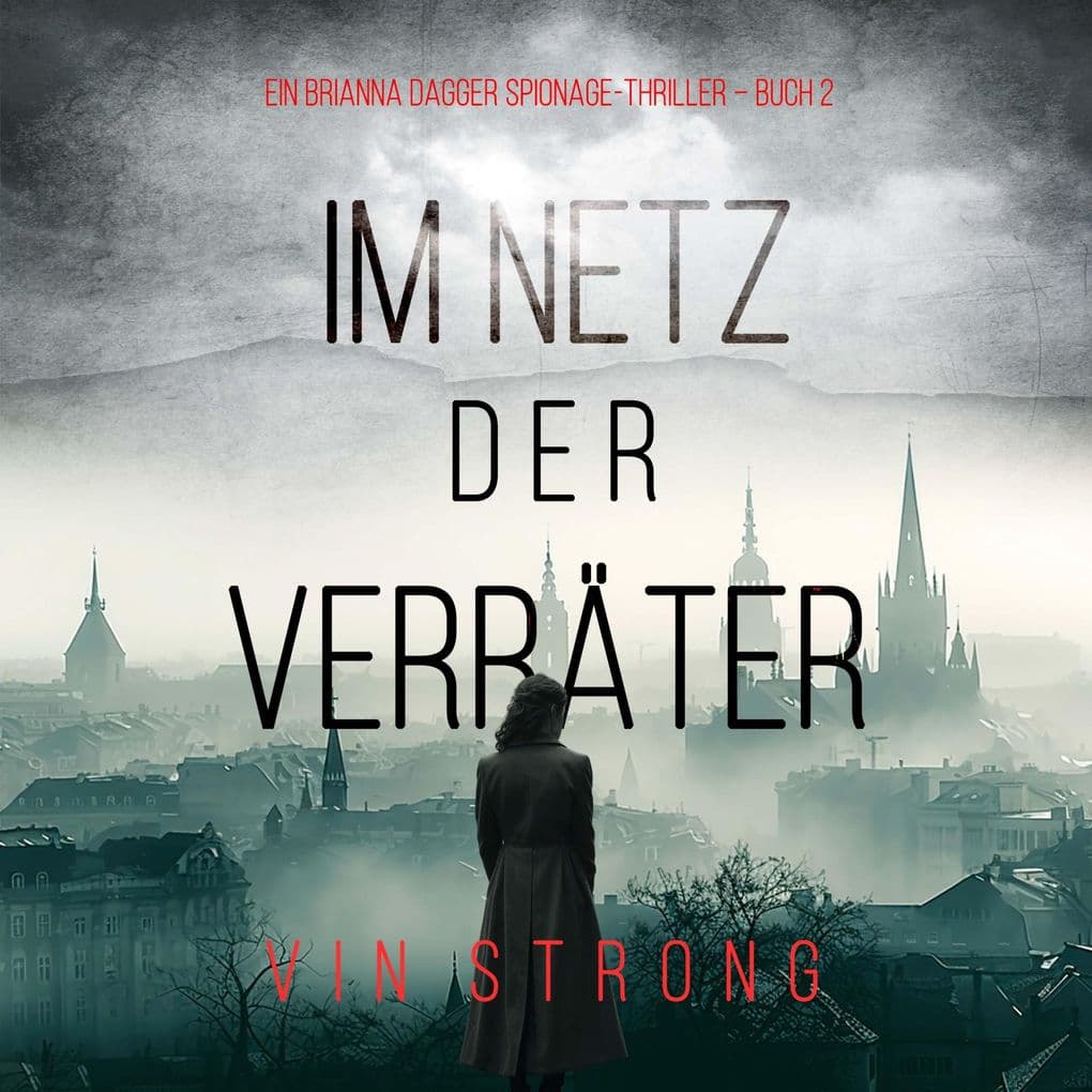 Im Netz der Verräter (Ein Brianna Dagger Spionage-Thriller Buch 2)