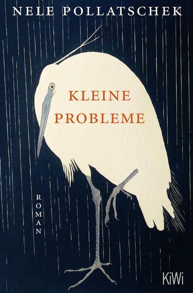 Kleine Probleme