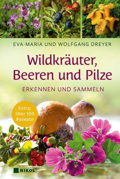 Wildkräuter, Beeren und Pilze