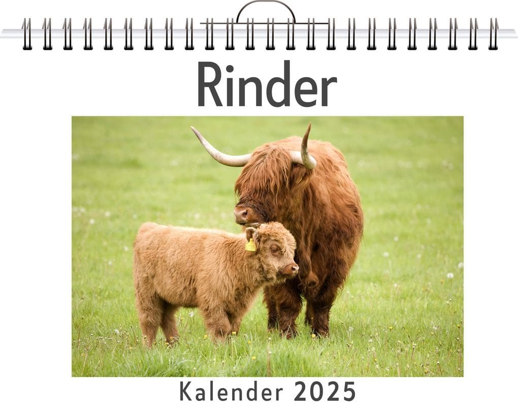 Rinder - (Wandkalender 2025, Kalender DIN A4 quer, Monatskalender im Querformat mit Kalendarium, das perfekte Geschenk)