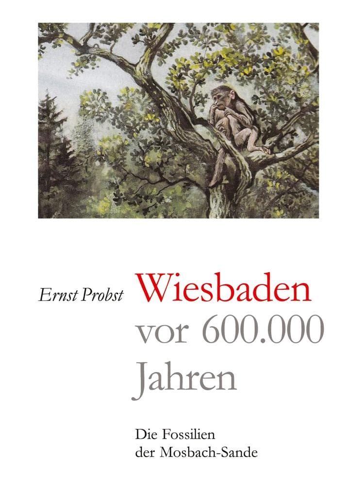 Wiesbaden vor 600.000 Jahren