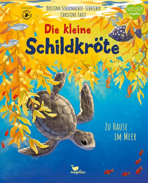 Die kleine Schildkröte - Zu Hause im Meer