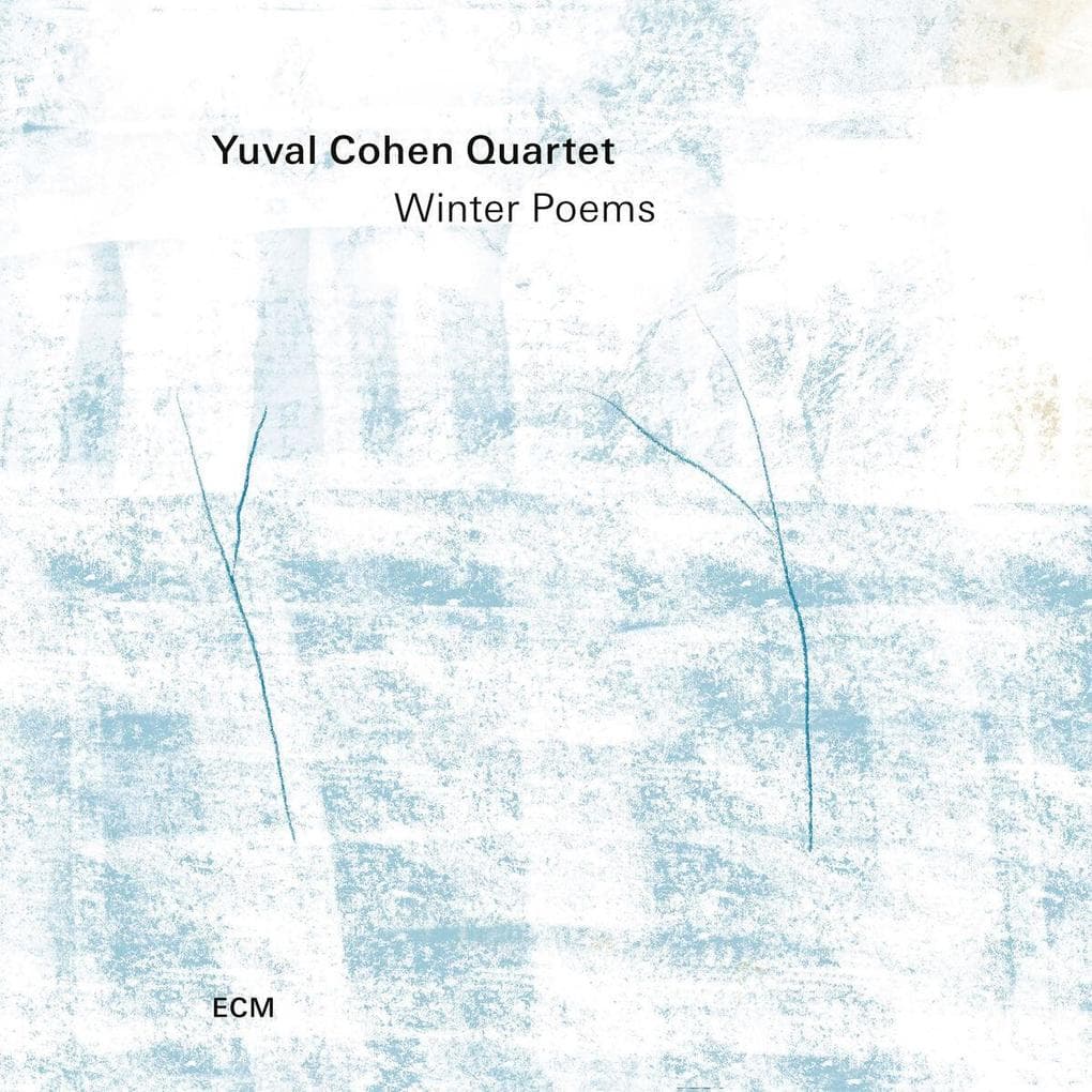 Winter Poems