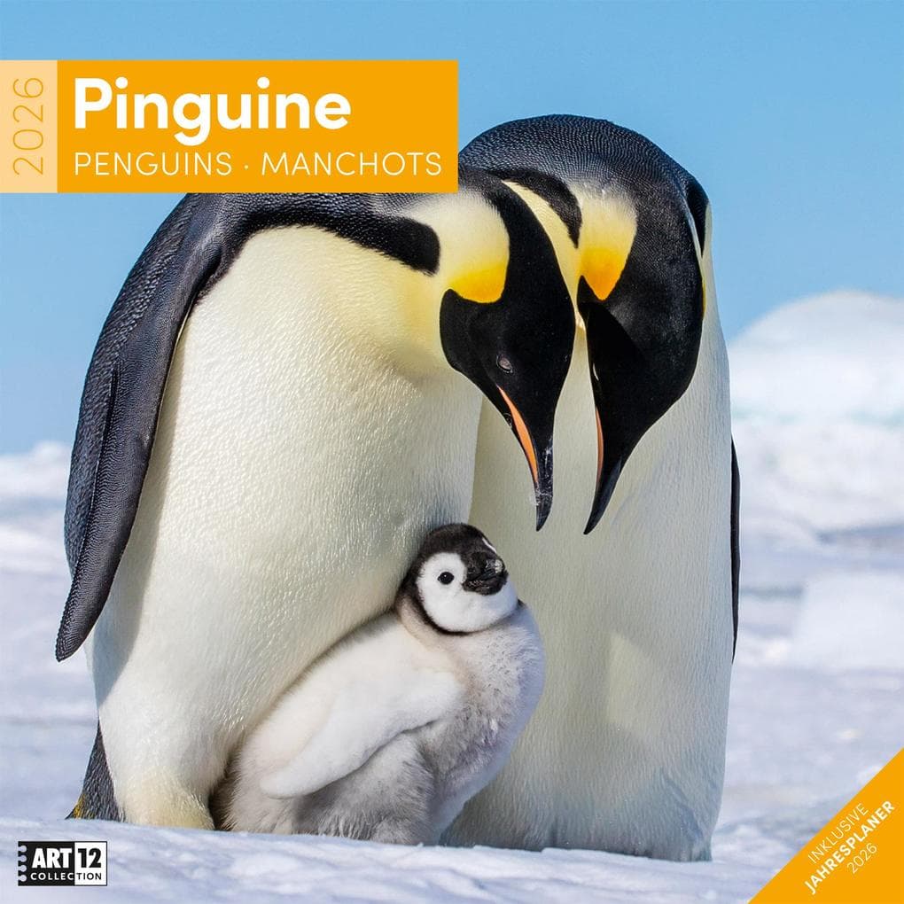 Pinguine Kalender 2026 - 30x30