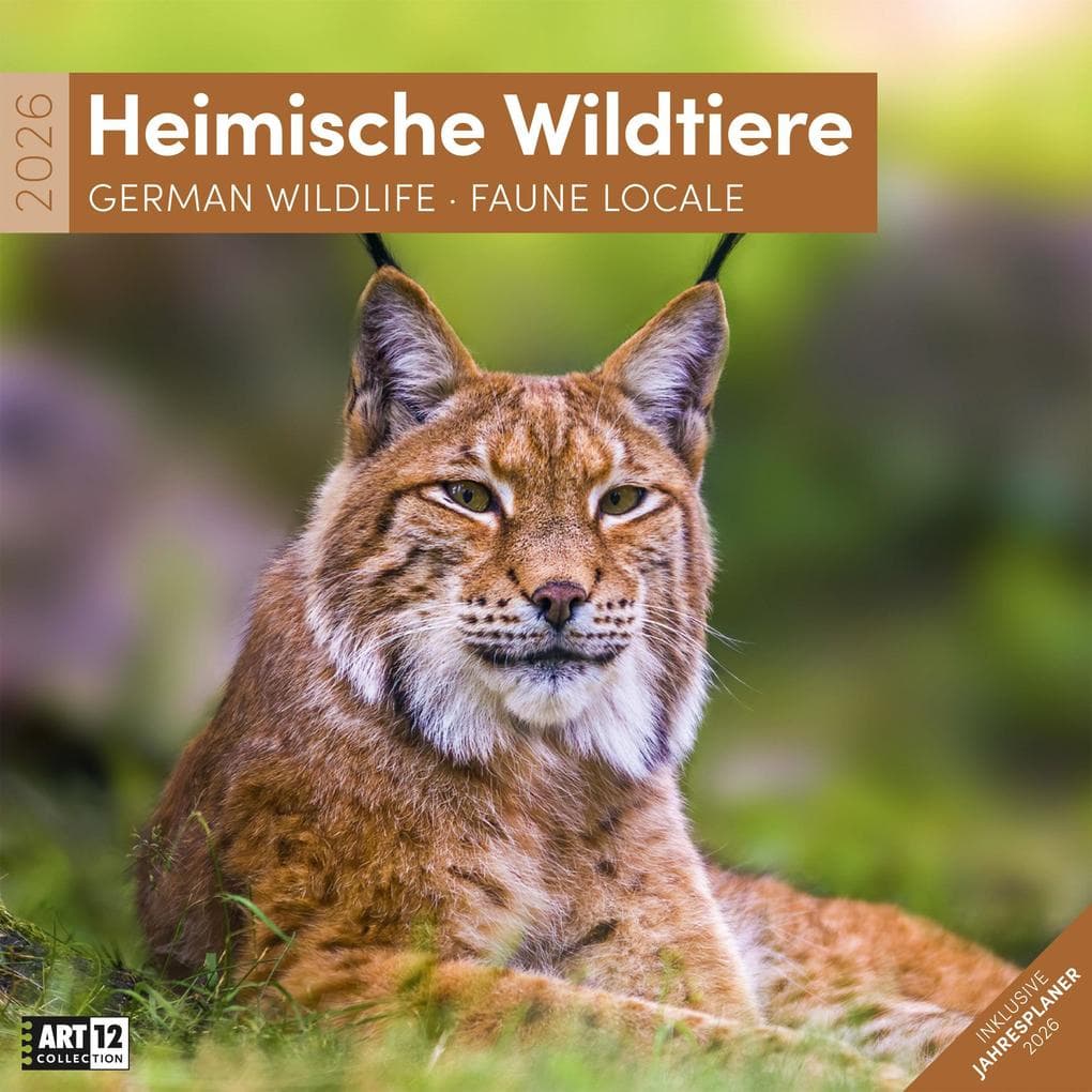 Heimische Wildtiere Kalender 2026 - 30x30