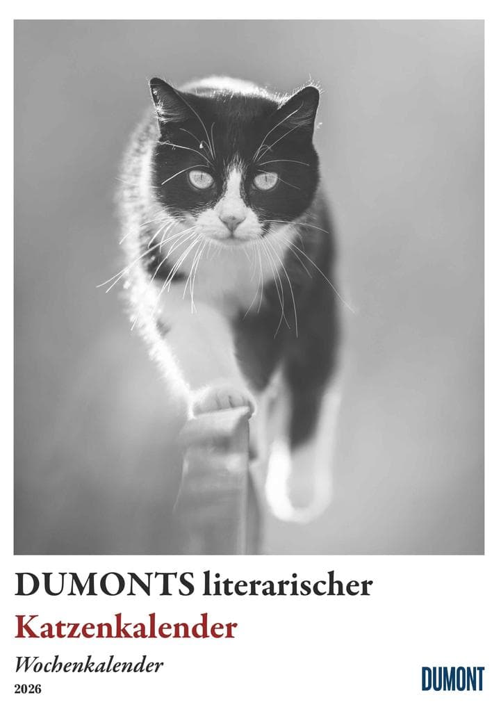 Dumonts literarischer Katzenkalender - Wochenkalender mit 53 Motiven und Zitaten von Marion Schmidt