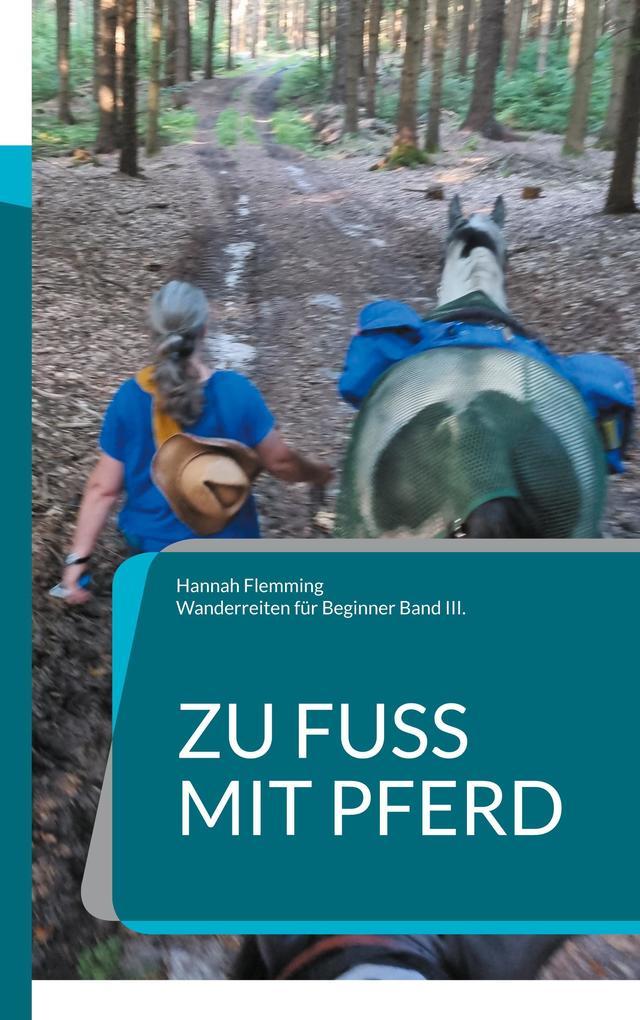 Zu Fuß mit Pferd